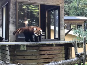 千葉市動物公園