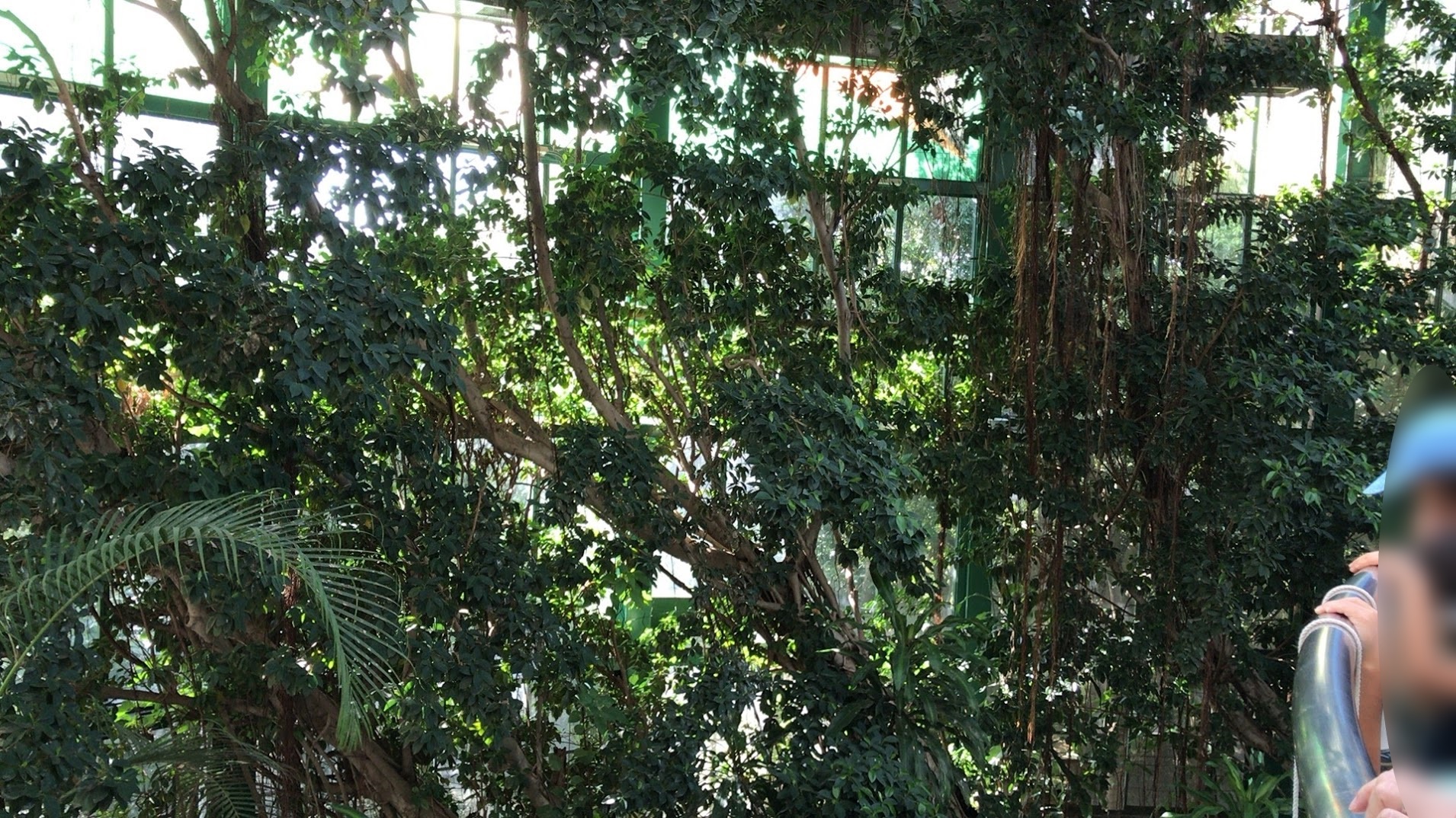 千葉市動物公園